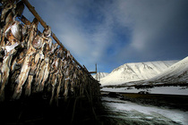 Fiskhjallar í Önundarfirði