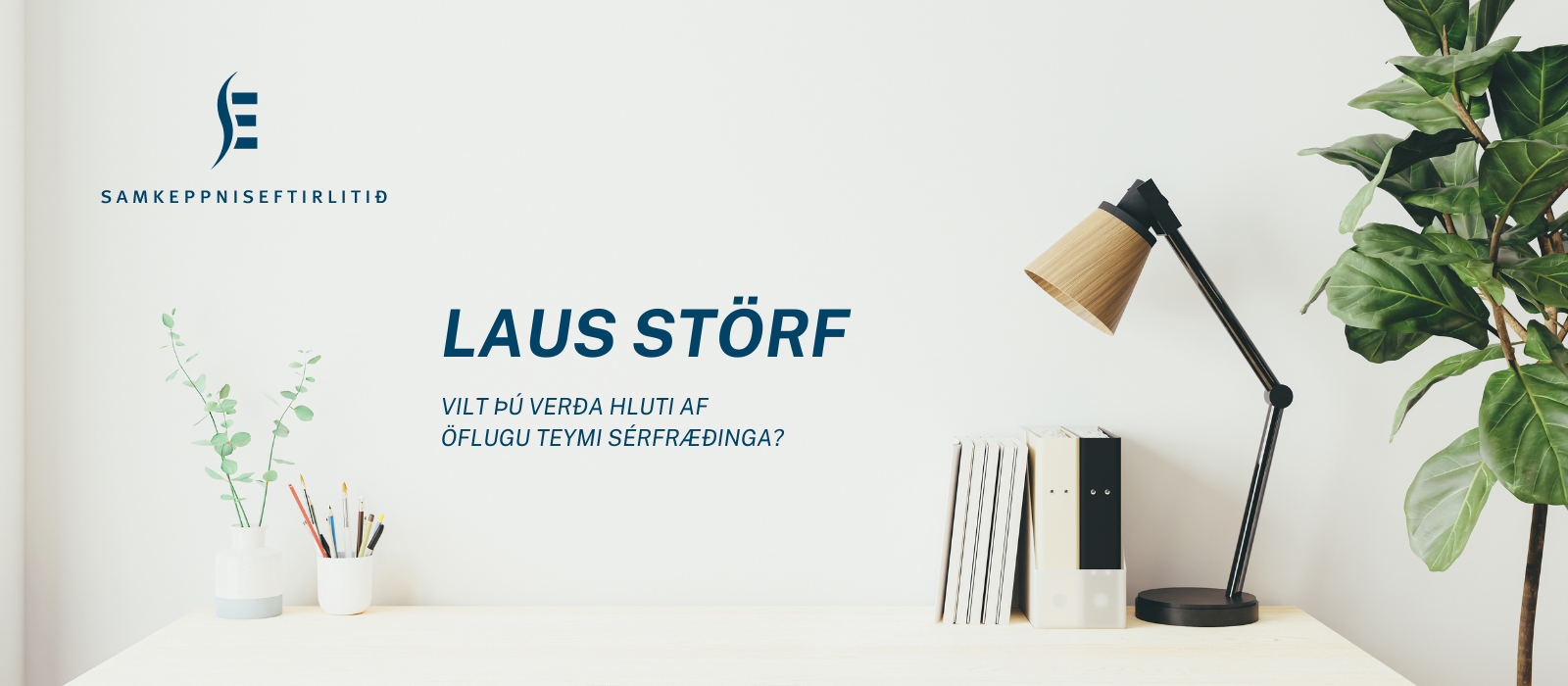 LAUS-STORF